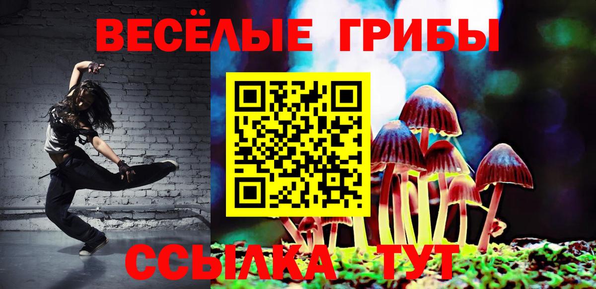 где можно купить наркотик  Псилоцибиновые грибы Psilocybine cubensis  Набережные Челны  Вход с VPN  Псилоцибиновые грибы мицелий 